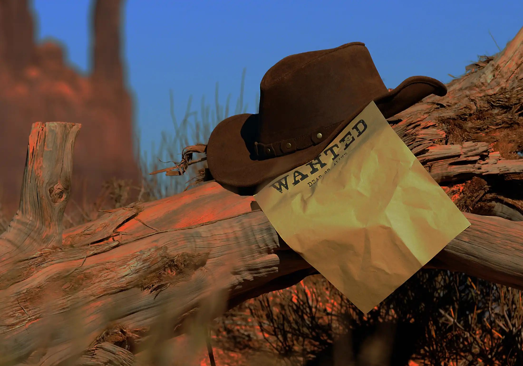 Konferencier för cowboy och westernfest